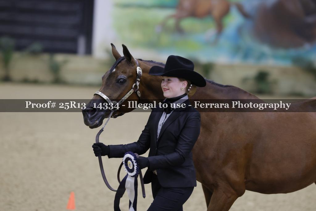 Proof Number 25R13_14334