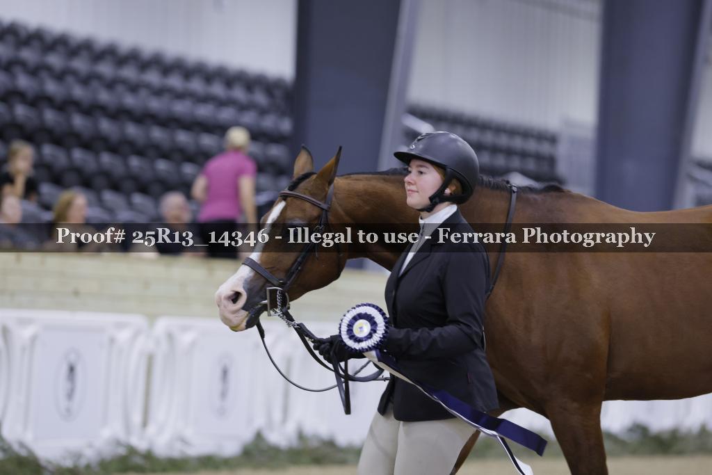 Proof Number 25R13_14346