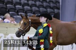 25R13_14353 thumbnail