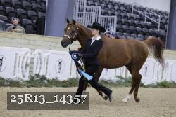 25R13_14357 thumbnail