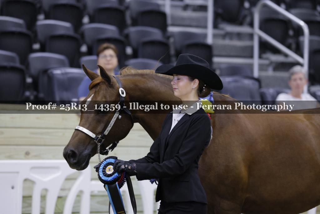 Proof Number 25R13_14359