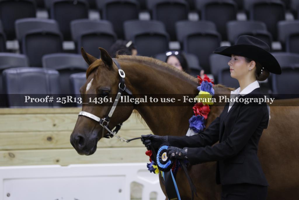 Proof Number 25R13_14361