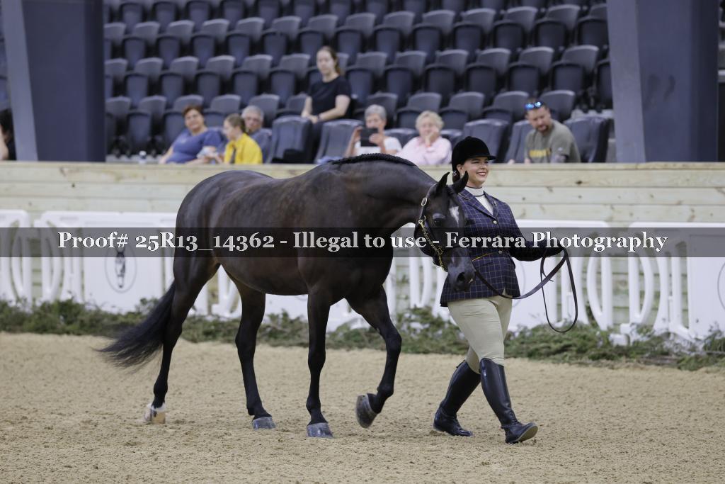 Proof Number 25R13_14362