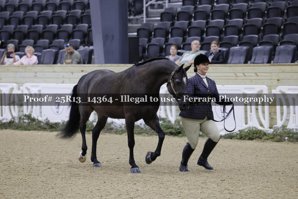 Proof Number 25R13_14364