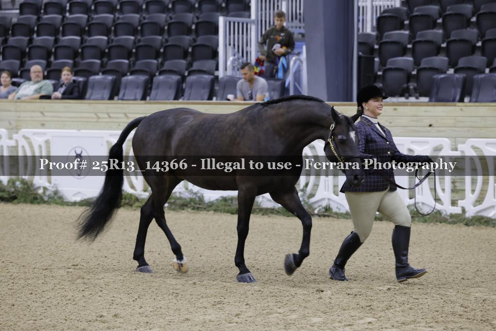 Proof Number 25R13_14366