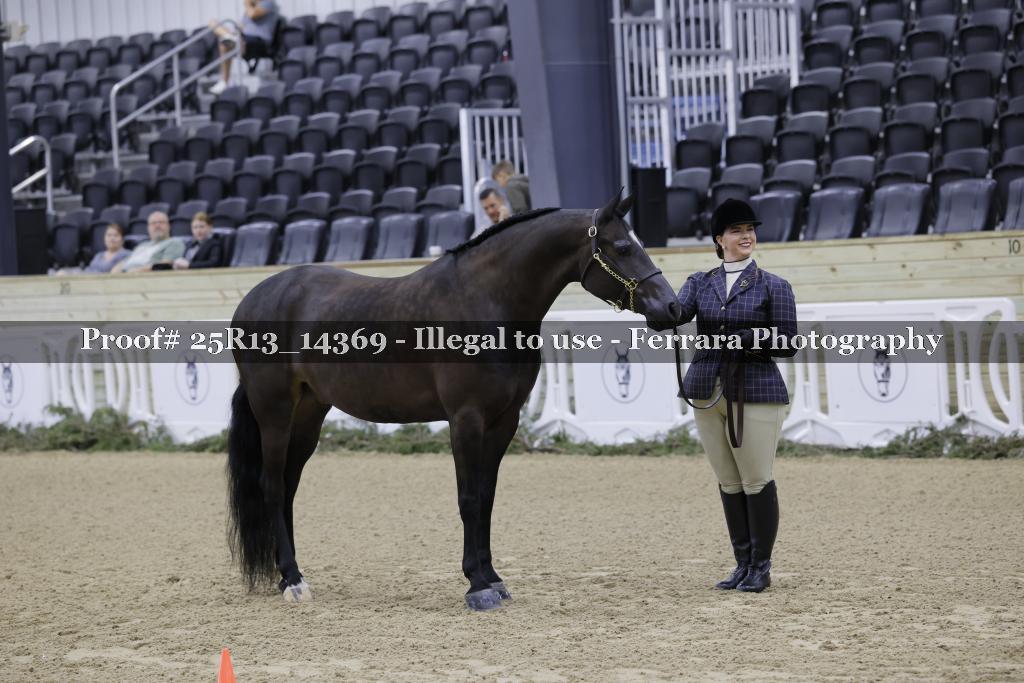 Proof Number 25R13_14369