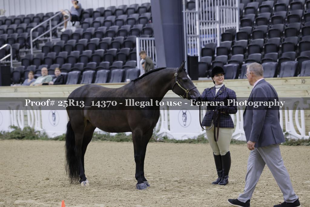 Proof Number 25R13_14370