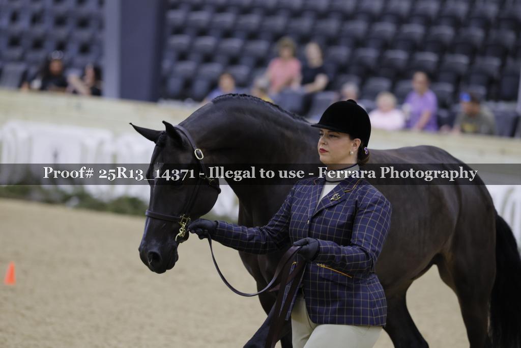 Proof Number 25R13_14371