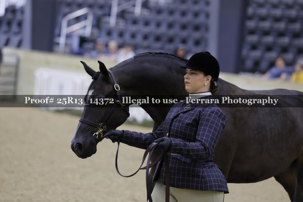 Proof Number 25R13_14372