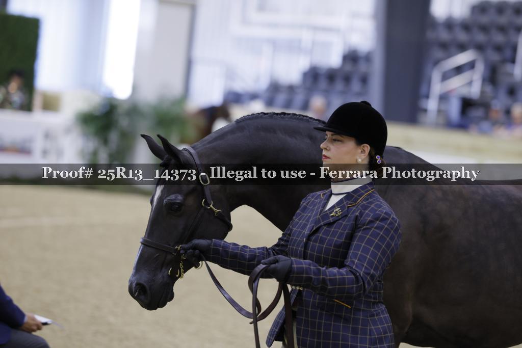 Proof Number 25R13_14373