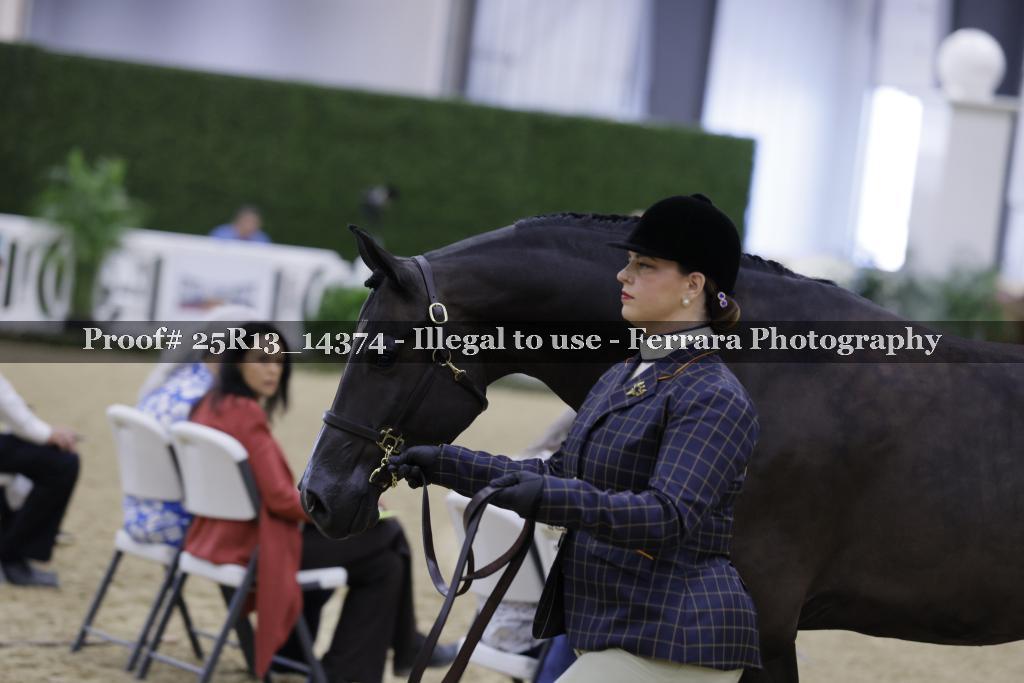 Proof Number 25R13_14374