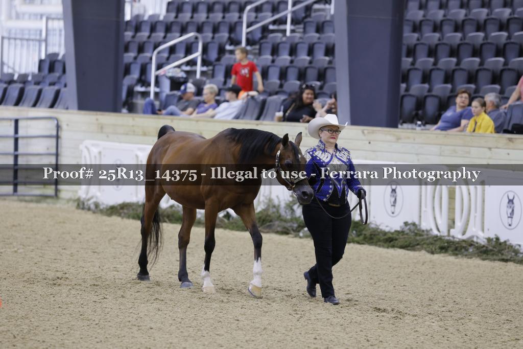 Proof Number 25R13_14375