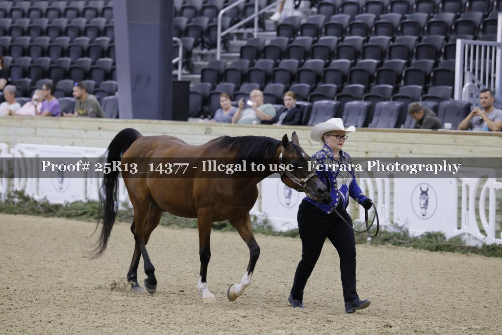 Proof Number 25R13_14377