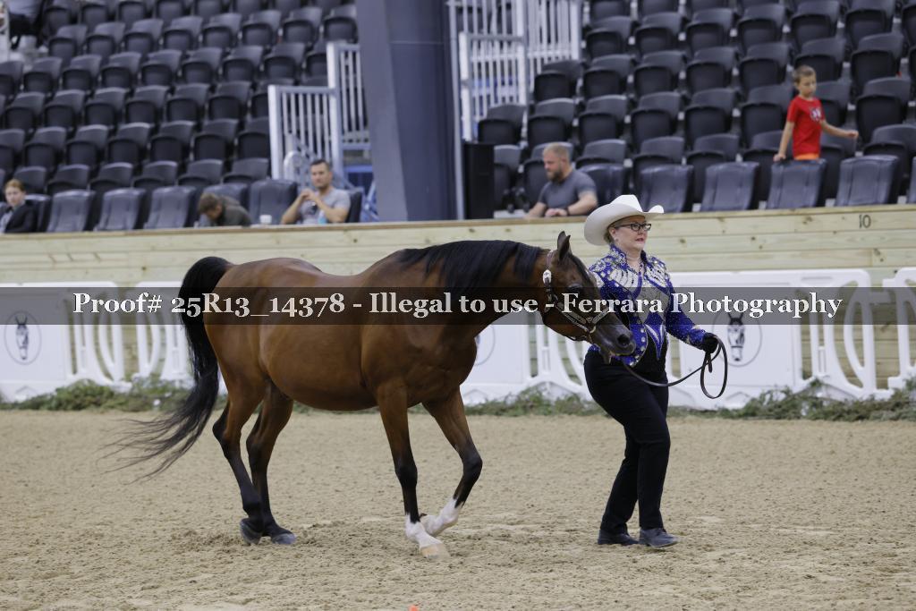 Proof Number 25R13_14378