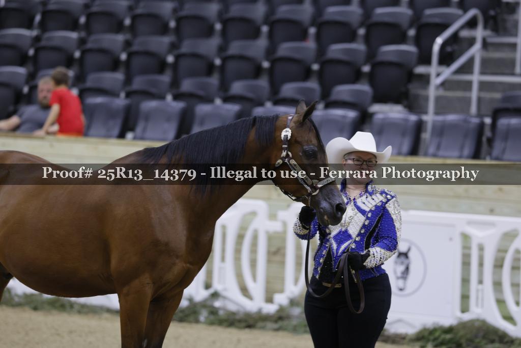 Proof Number 25R13_14379