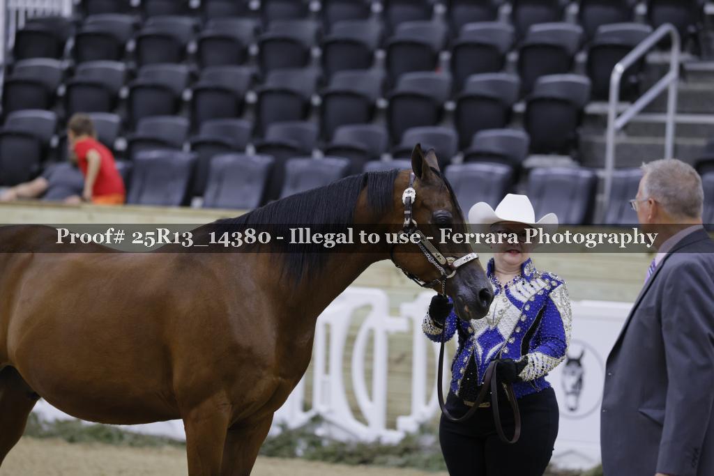 Proof Number 25R13_14380