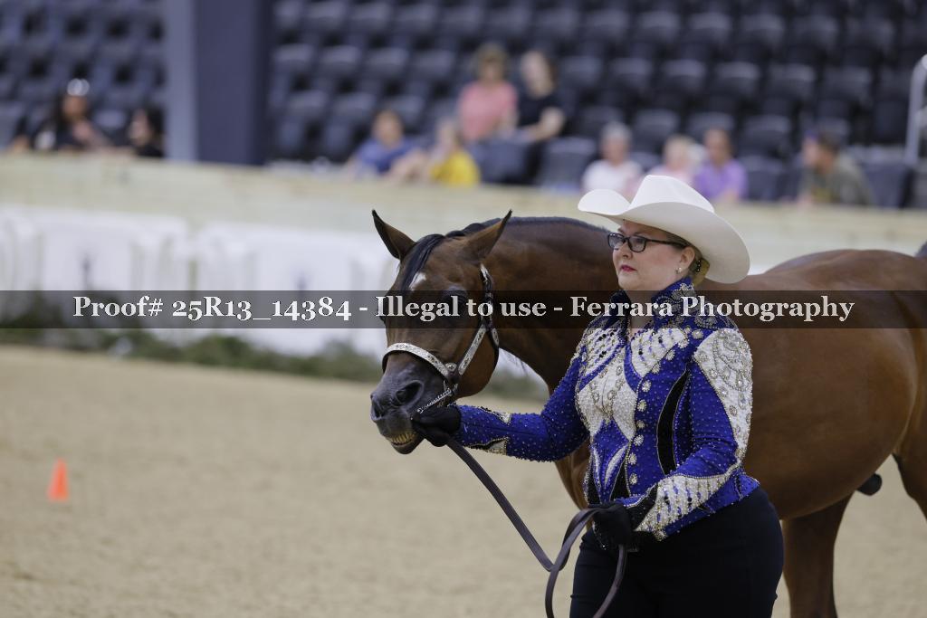 Proof Number 25R13_14384