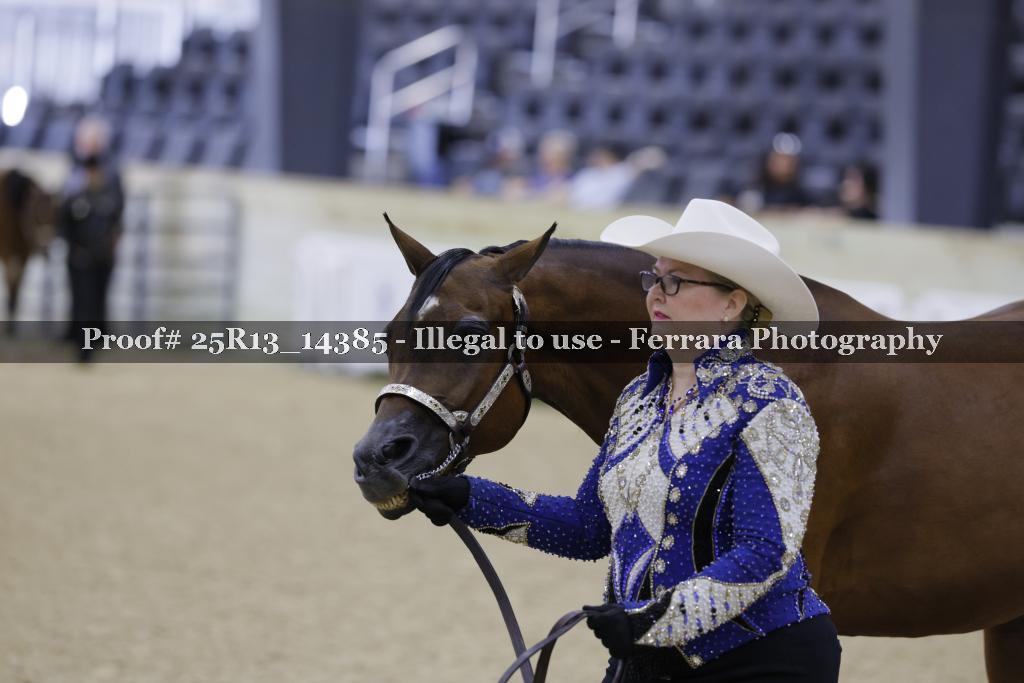 Proof Number 25R13_14385
