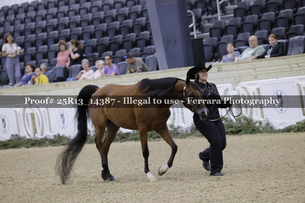 Proof Number 25R13_14387