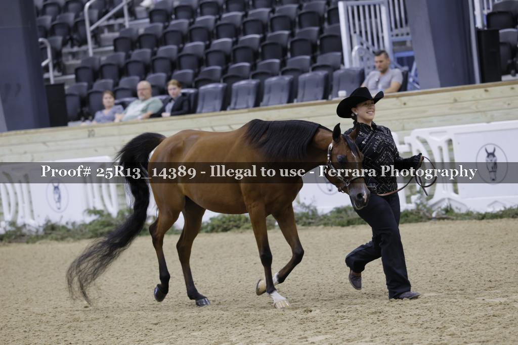 Proof Number 25R13_14389