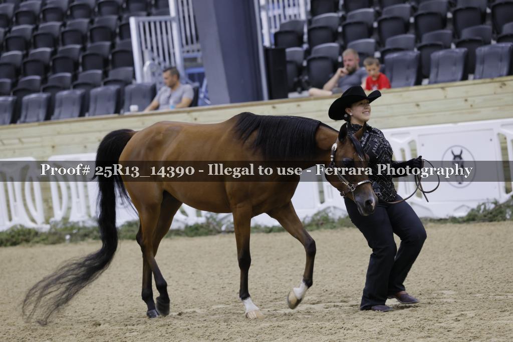Proof Number 25R13_14390