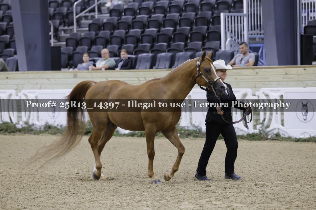 Proof Number 25R13_14397