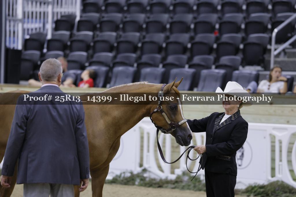 Proof Number 25R13_14399