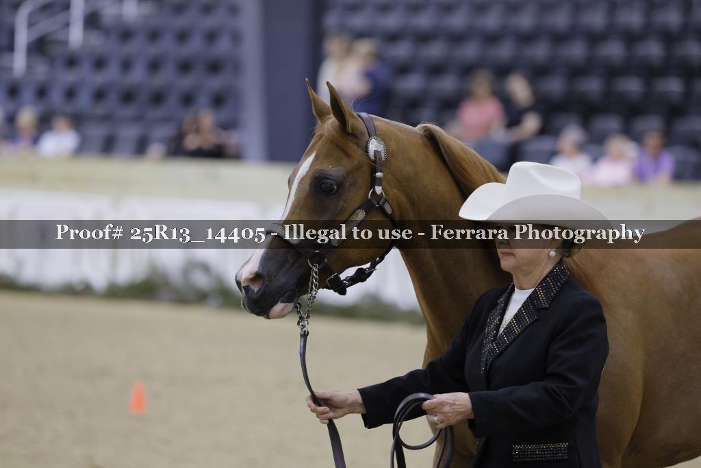Proof Number 25R13_14405