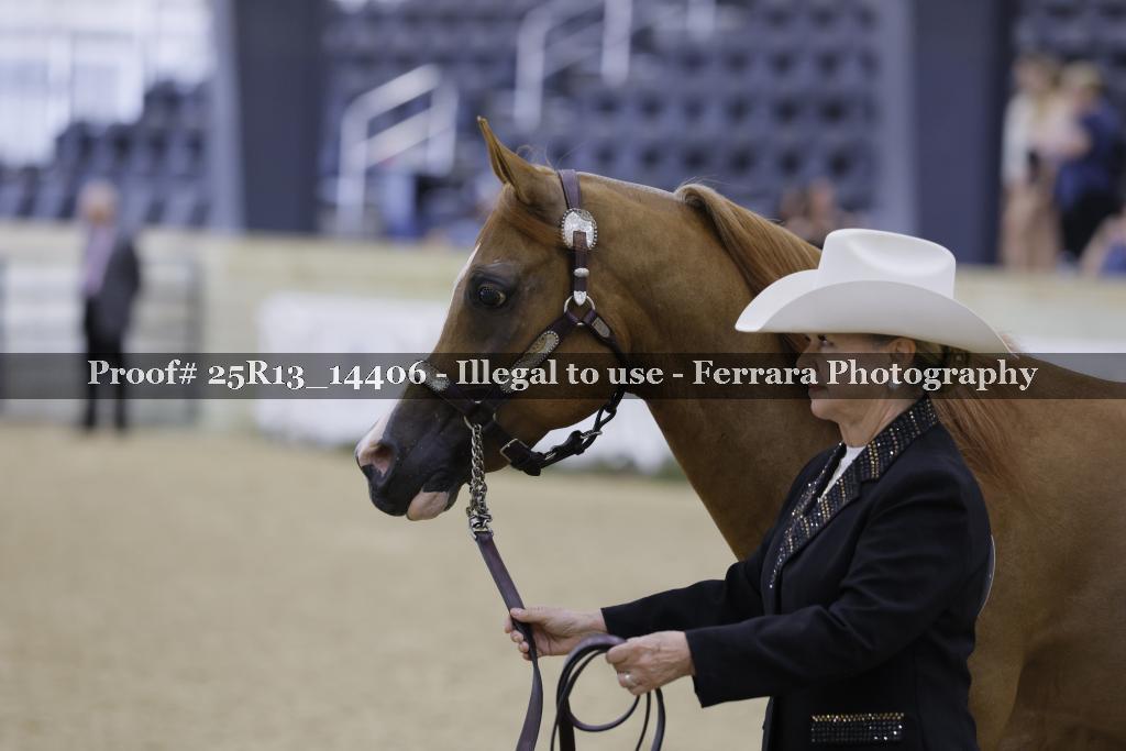 Proof Number 25R13_14406