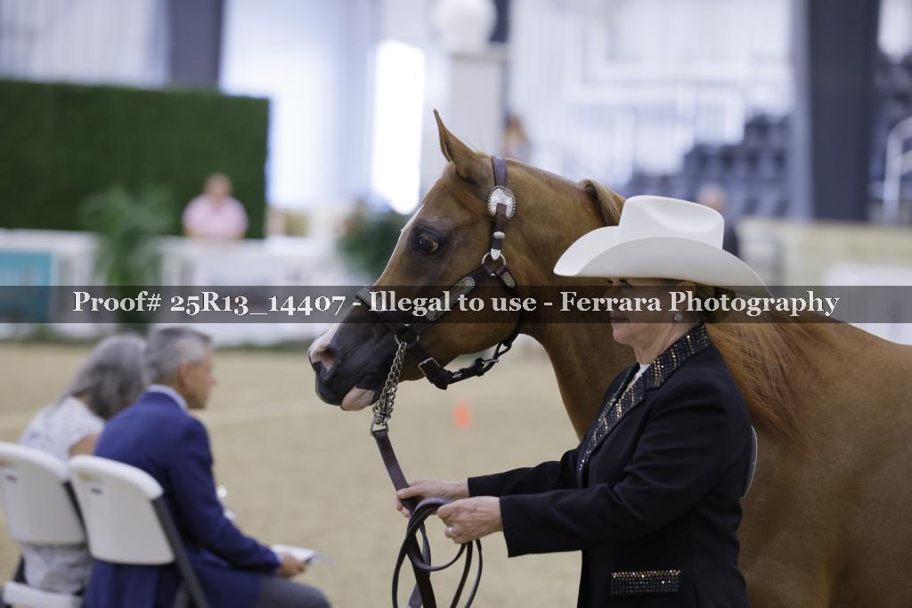 Proof Number 25R13_14407
