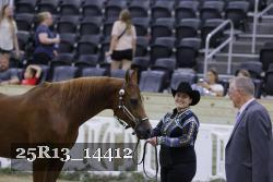 25R13_14412 thumbnail