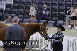 25R13_14413 thumbnail