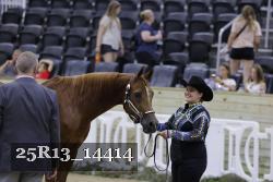 25R13_14414 thumbnail
