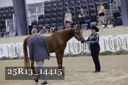 25R13_14415 thumbnail