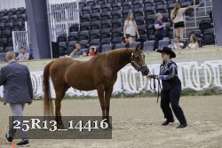 25R13_14416 thumbnail