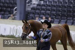 25R13_14418 thumbnail