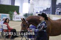 25R13_14420 thumbnail
