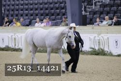 25R13_14421 thumbnail