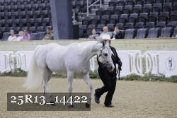 25R13_14422 thumbnail