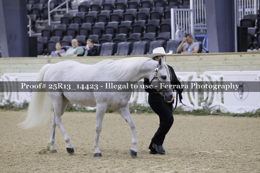 Proof Number 25R13_14423