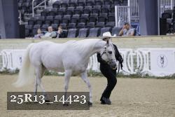 25R13_14423 thumbnail