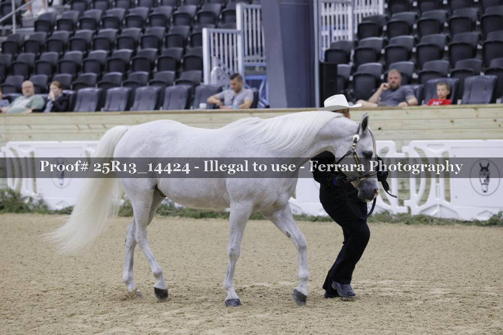 Proof Number 25R13_14424