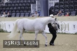 25R13_14424 thumbnail