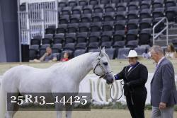 25R13_14425 thumbnail