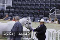 25R13_14426 thumbnail