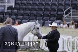 25R13_14427 thumbnail
