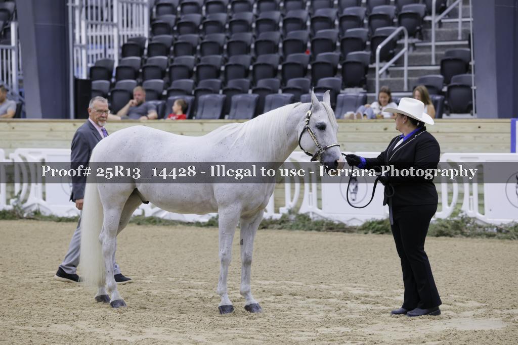 Proof Number 25R13_14428