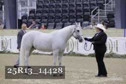 25R13_14428 thumbnail