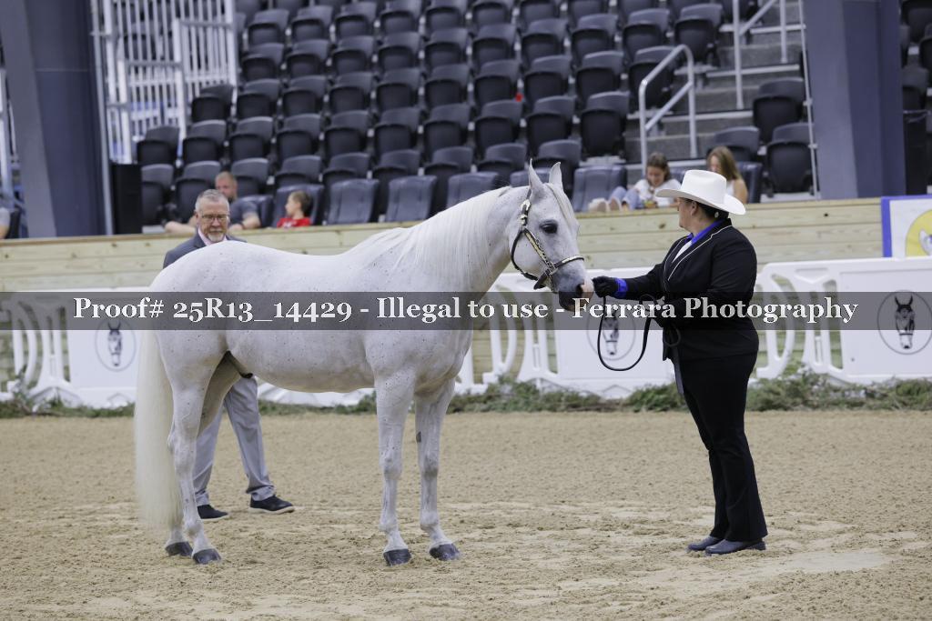Proof Number 25R13_14429
