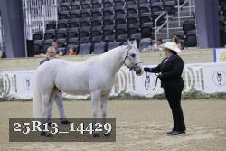 25R13_14429 thumbnail